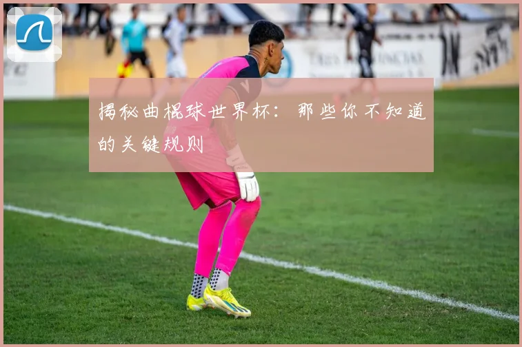 揭秘曲棍球世界杯：那些你不知道的关键规则
